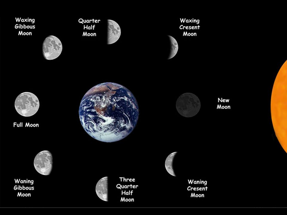 Moon org. Moon phases. All Moon phases. Moon phases Waxing. Full Moon Quarter.