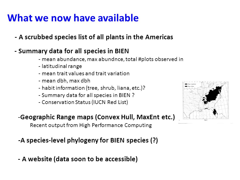 What we now have available - Summary data for all species in BIEN - mean abundance, max abundnce, total #plots observed in - latitudinal range - mean trait values and trait variation - mean dbh, max dbh - habit information (tree, shrub, liana, etc.).
