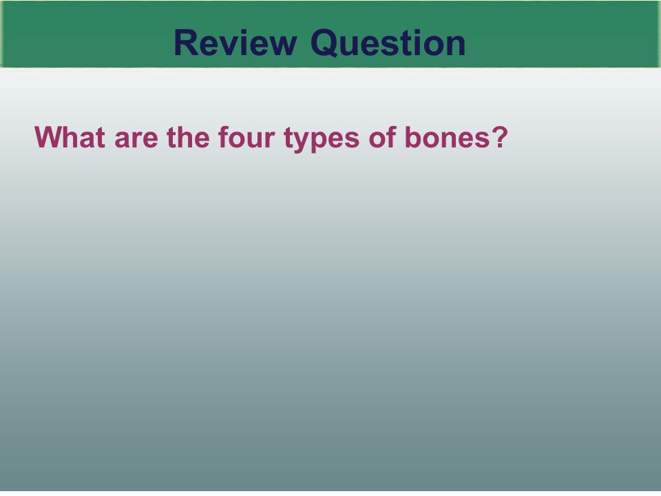 28 Review Question What are the four types of bones