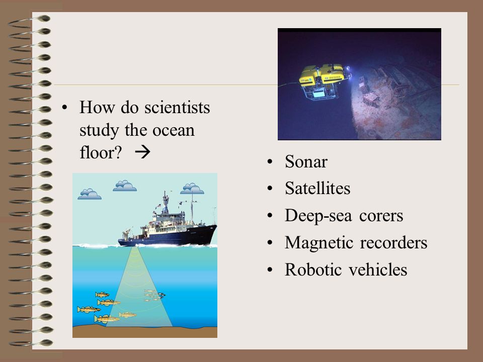 Chapter 22 Oceanography Oceanography What Percentage Of The