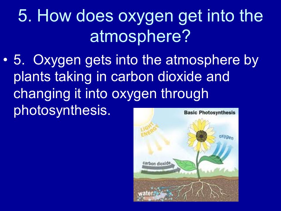 5. How does oxygen get into the atmosphere. 5.