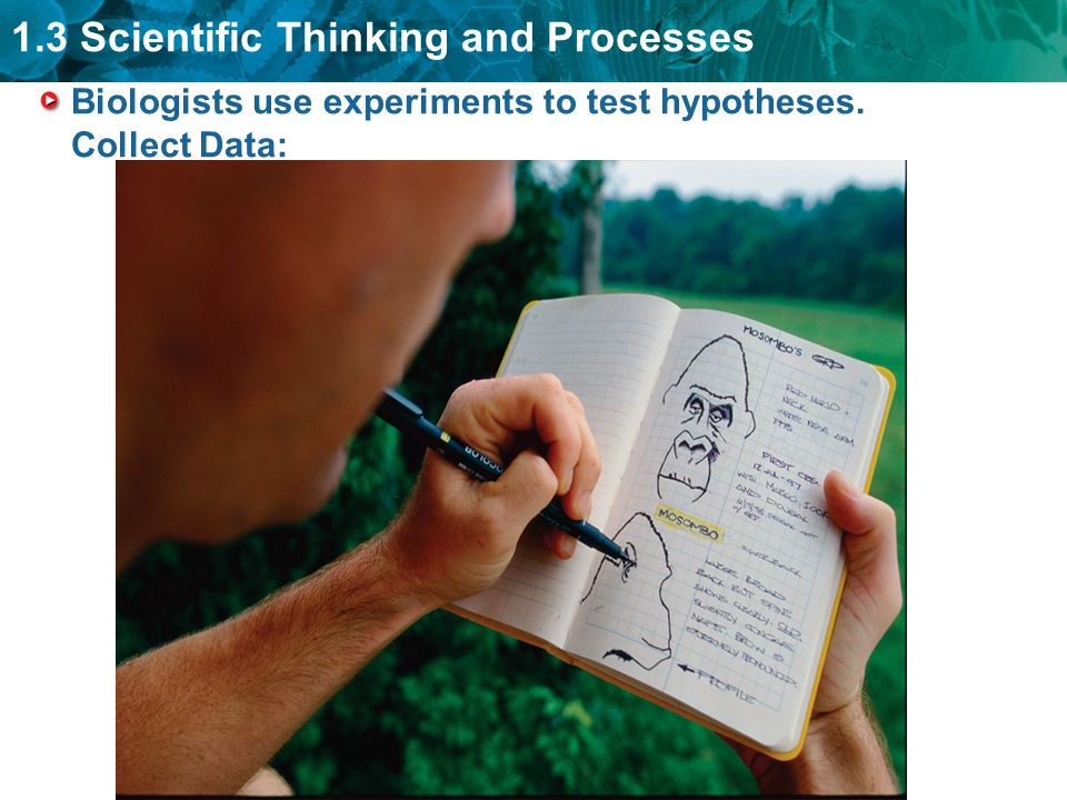 1.3 Scientific Thinking and Processes Biologists use experiments to test hypotheses. Collect Data: