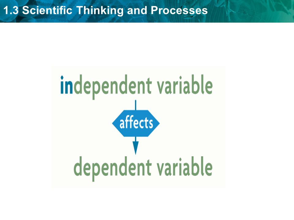 1.3 Scientific Thinking and Processes