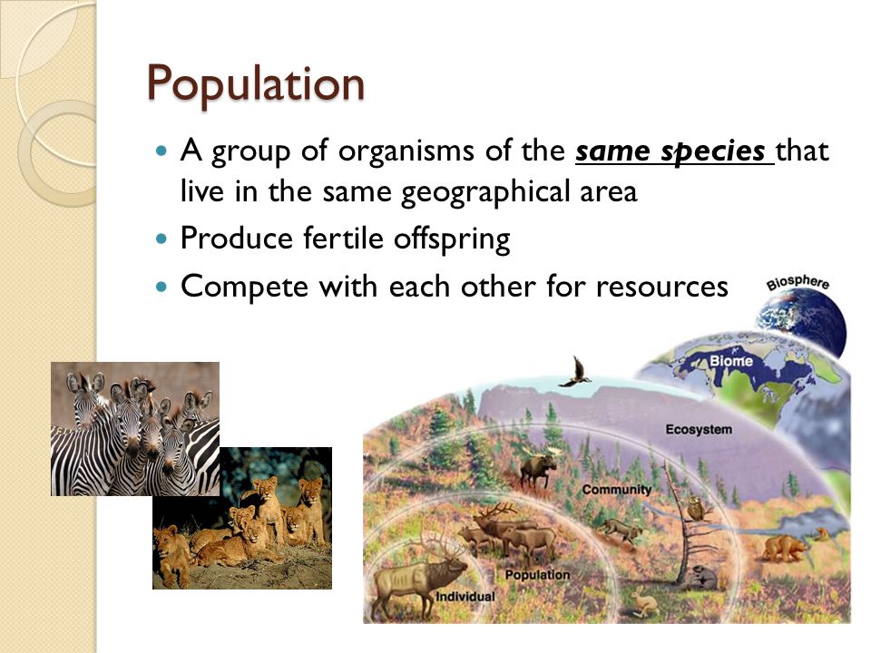 Population A group of organisms of the same species that live in the same geographical area Produce fertile offspring Compete with each other for resources