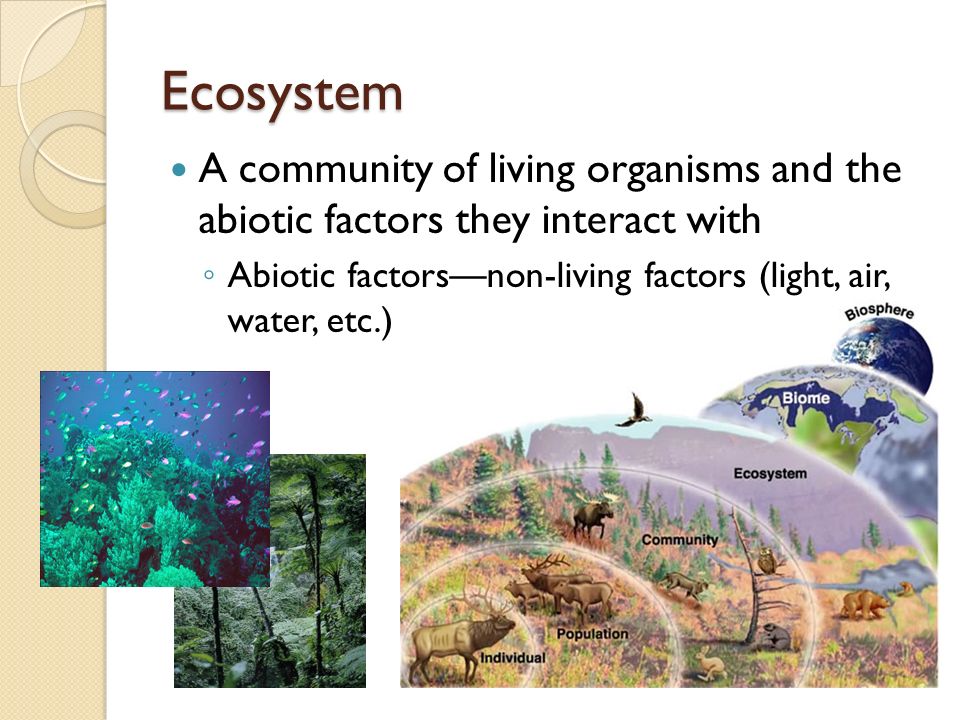 A community of living organisms and the abiotic factors they interact with ◦ Abiotic factors—non-living factors (light, air, water, etc.) Ecosystem