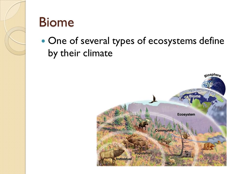 One of several types of ecosystems define by their climate Biome