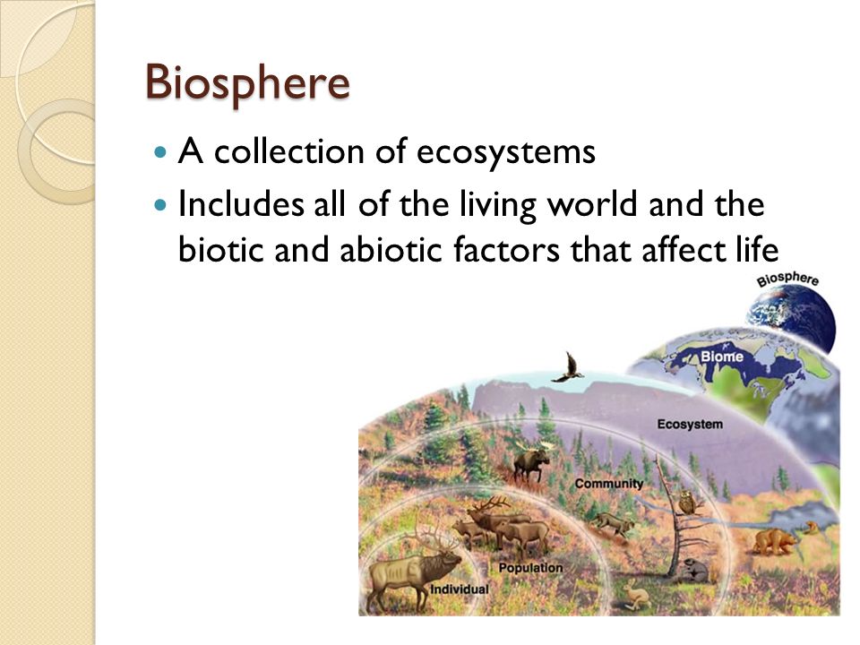 A collection of ecosystems Includes all of the living world and the biotic and abiotic factors that affect life Biosphere