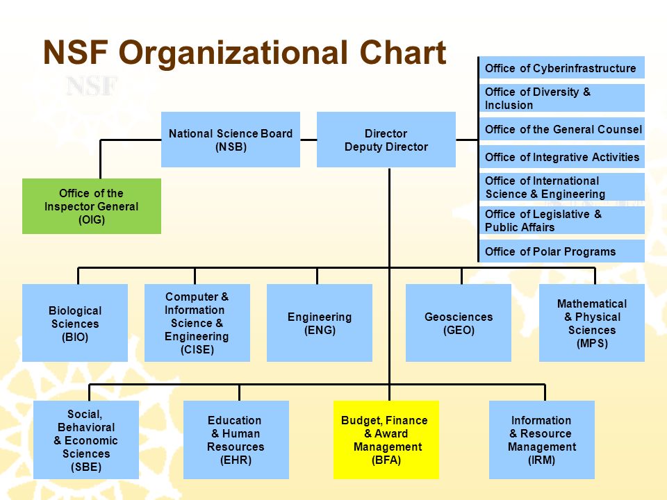 Nsf Org Chart