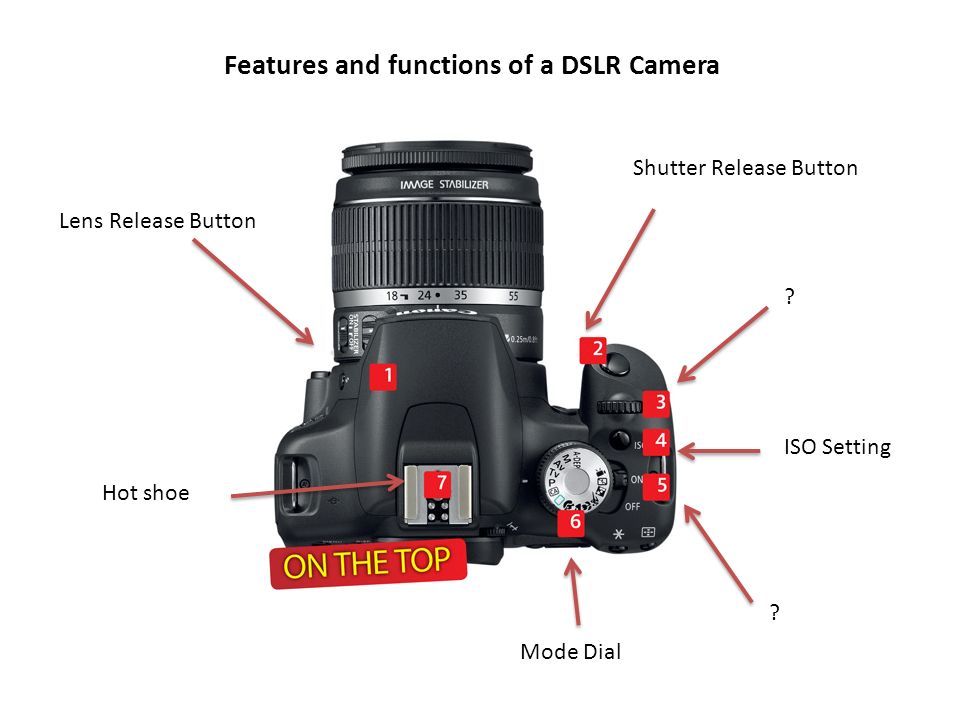 Digital single-lens reflex camera DSLR Camera The Basics. - ppt download