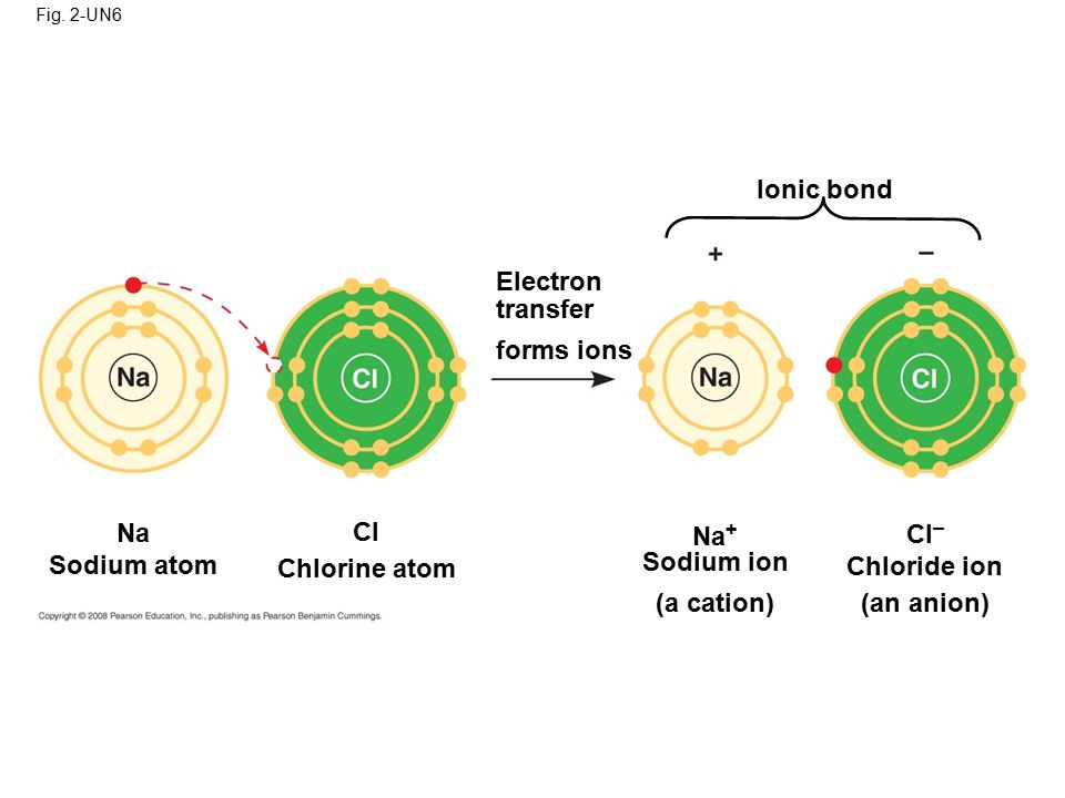 Biology Properties of Water. Matter consists of chemical elements in ...