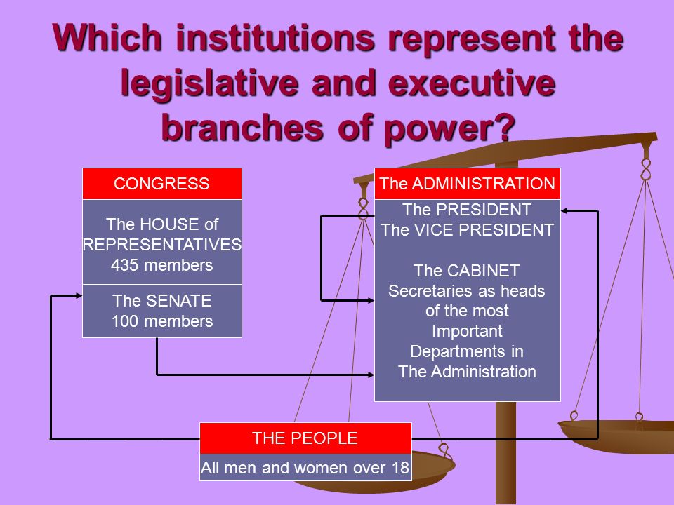 Which institutions represent the legislative and executive branches of power.