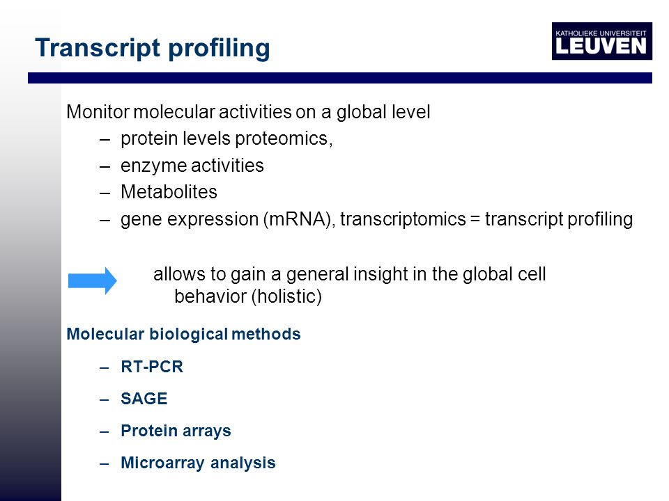 Monitor molecular activities on a global level –protein levels proteomics, –enzyme activities –Metabolites –gene expression (mRNA), transcriptomics = transcript profiling allows to gain a general insight in the global cell behavior (holistic) Molecular biological methods –RT-PCR –SAGE –Protein arrays –Microarray analysis Transcript profiling