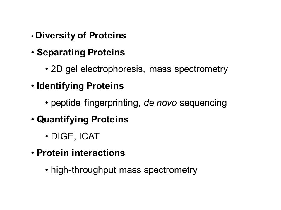 Diversity of Proteins Separating Proteins 2D gel electrophoresis, mass spectrometry Identifying Proteins peptide fingerprinting, de novo sequencing Quantifying Proteins DIGE, ICAT Protein interactions high-throughput mass spectrometry