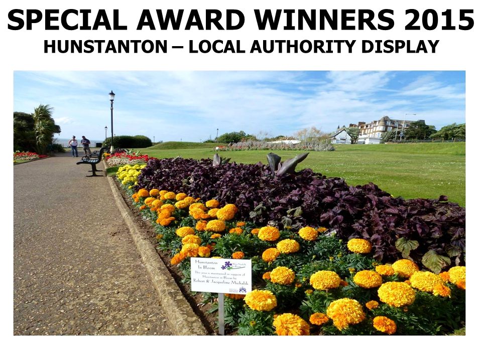SPECIAL AWARD WINNERS 2015 HUNSTANTON – LOCAL AUTHORITY DISPLAY