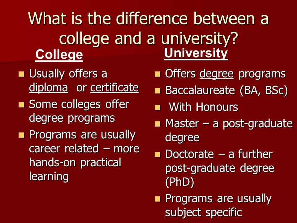 What is the difference between a college and a university? 