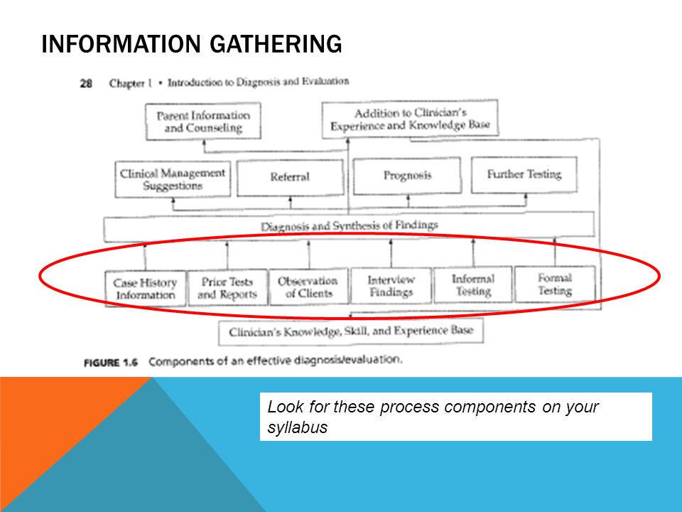 INFORMATION GATHERING Look for these process components on your syllabus