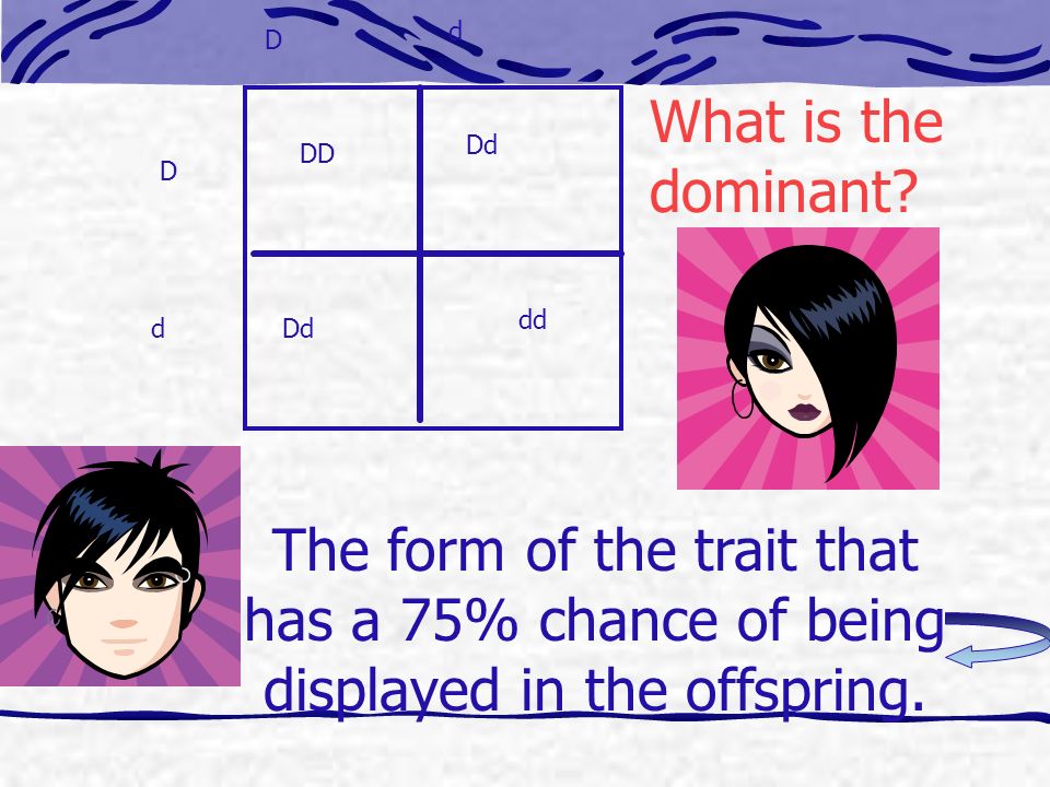 What is the dominant.