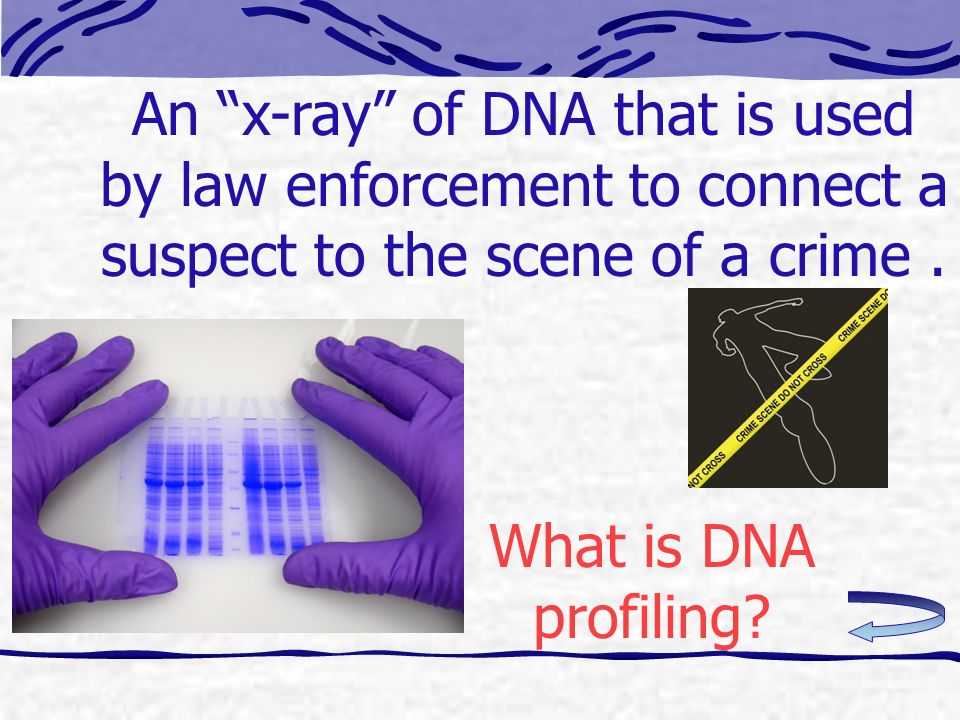 An x-ray of DNA that is used by law enforcement to connect a suspect to the scene of a crime.