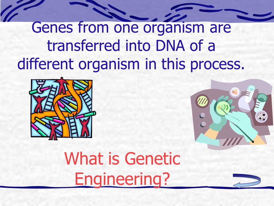 Genes from one organism are transferred into DNA of a different organism in this process.