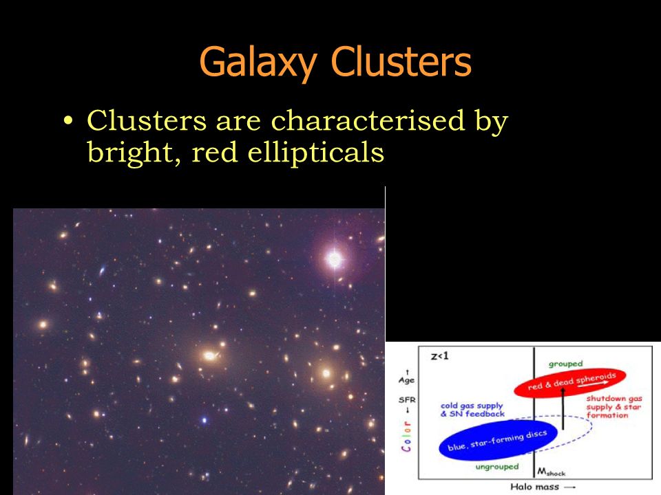 Galaxy Clusters Clusters are characterised by bright, red ellipticals