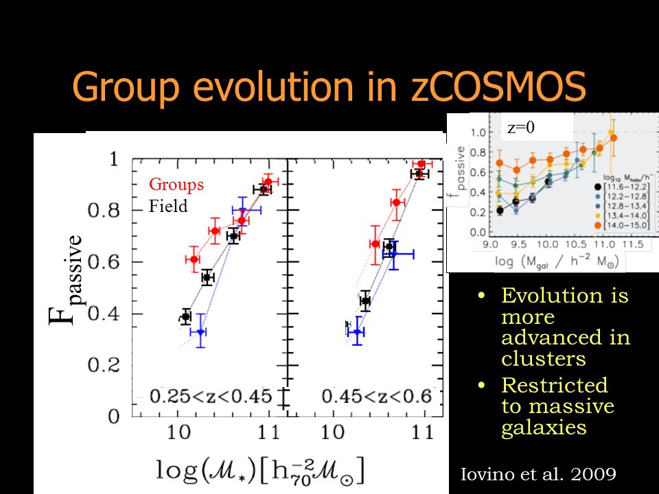 Group evolution in zCOSMOS Evolution is more advanced in clusters Restricted to massive galaxies Iovino et al.