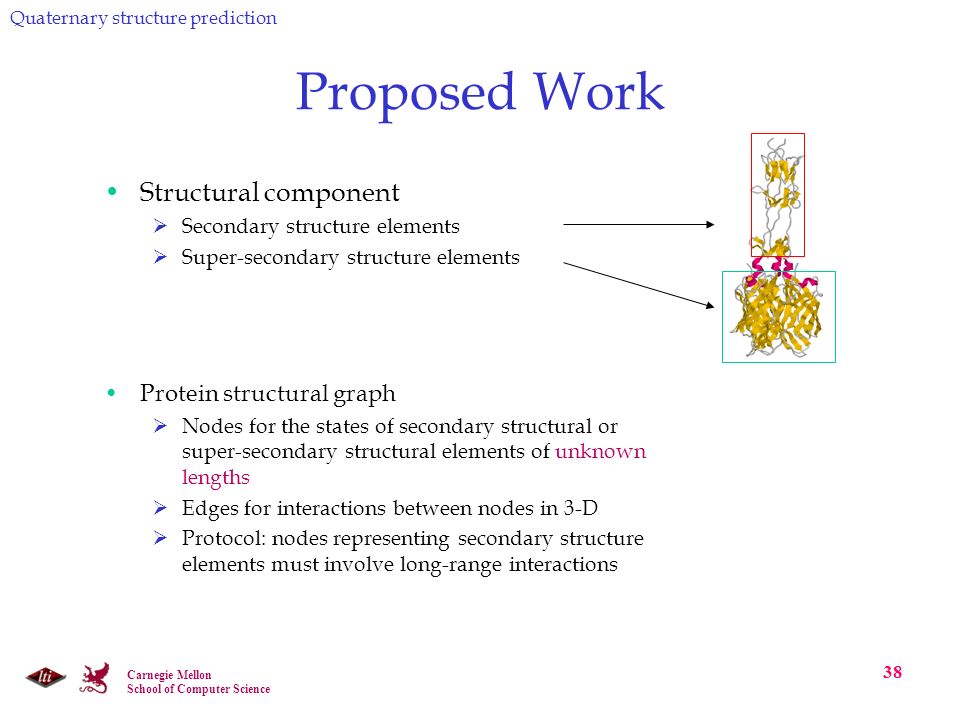 Carnegie Mellon School of Computer Science 38 Proposed Work Structural component  Secondary structure elements  Super-secondary structure elements Protein structural graph  Nodes for the states of secondary structural or super-secondary structural elements of unknown lengths  Edges for interactions between nodes in 3-D  Protocol: nodes representing secondary structure elements must involve long-range interactions Quaternary structure prediction