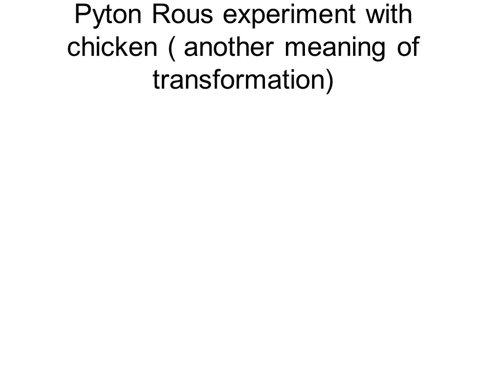 Pyton Rous experiment with chicken ( another meaning of transformation)