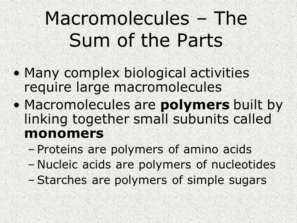 Macromolecules – The Sum of the Parts Many complex biological activities require large macromolecules Macromolecules are polymers built by linking together small subunits called monomers –Proteins are polymers of amino acids –Nucleic acids are polymers of nucleotides –Starches are polymers of simple sugars