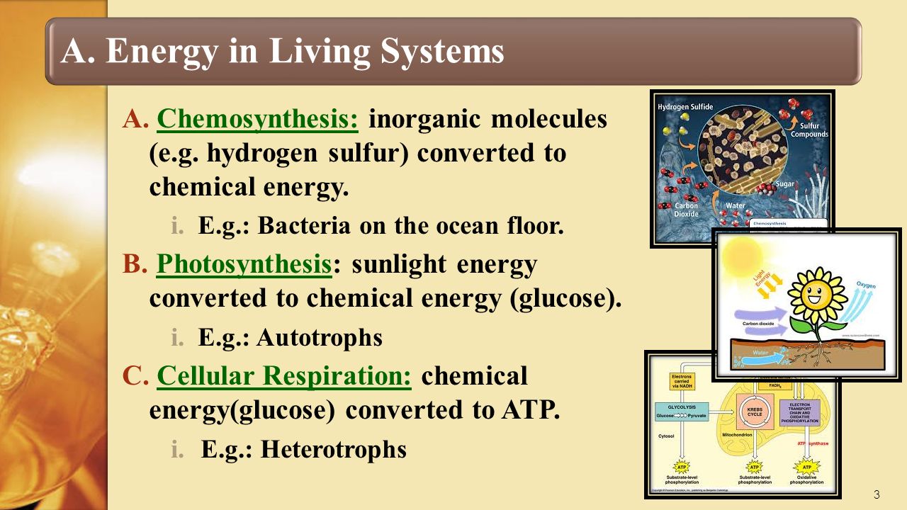 A. Energy in Living Systems A. Chemosynthesis: inorganic molecules (e.g.