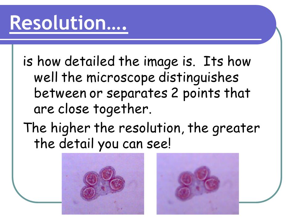 Title: Magnification Lesson Objectives : 1. Can I explain the difference between  magnification and resolution? Grade B 2. Can I differentiate between the. -  ppt download