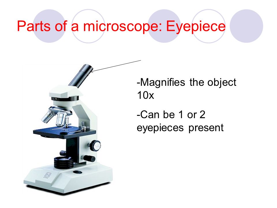 Parts of a microscope: Eyepiece -Magnifies the object 10x -Can be 1 or 2 eyepieces present