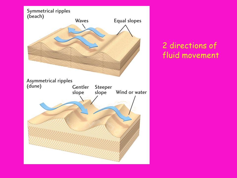 2 directions of fluid movement