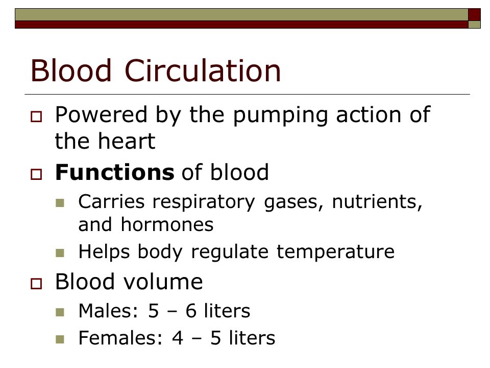 Blood circulation functions