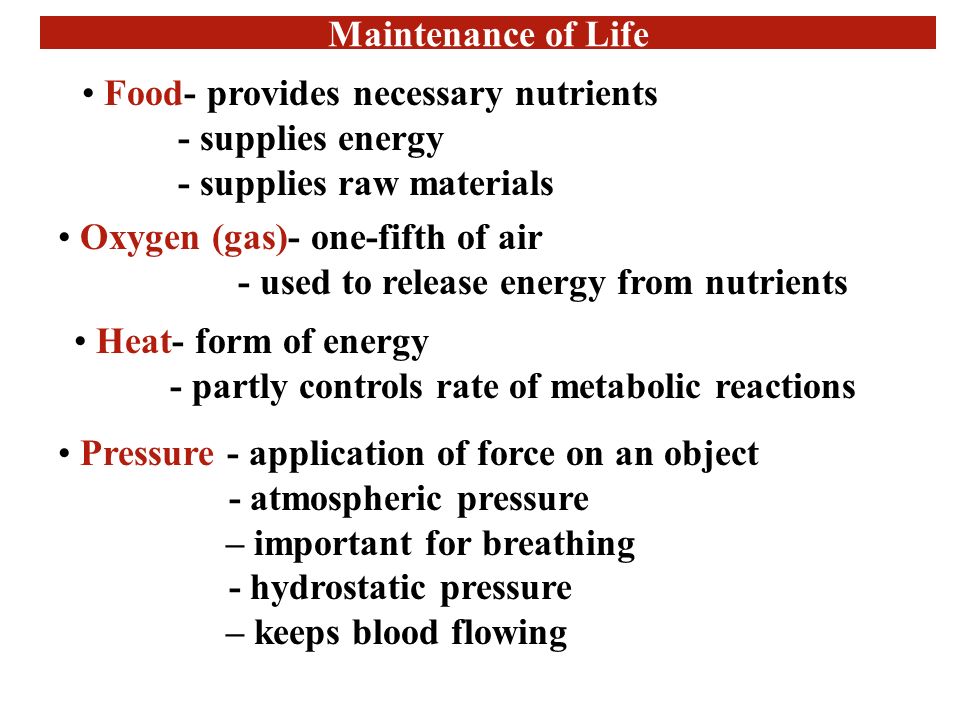 Maintenance of Life Food- provides necessary nutrients - supplies energy - supplies raw materials Oxygen (gas)- one-fifth of air - used to release energy from nutrients Heat- form of energy - partly controls rate of metabolic reactions Pressure - application of force on an object - atmospheric pressure – important for breathing - hydrostatic pressure – keeps blood flowing