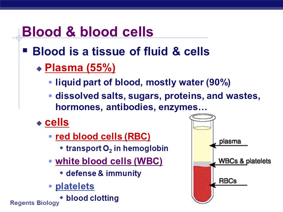 Regents Biology Blood Serves as a transport medium helping to maintain homeostasis for all cells of the body by: 1.