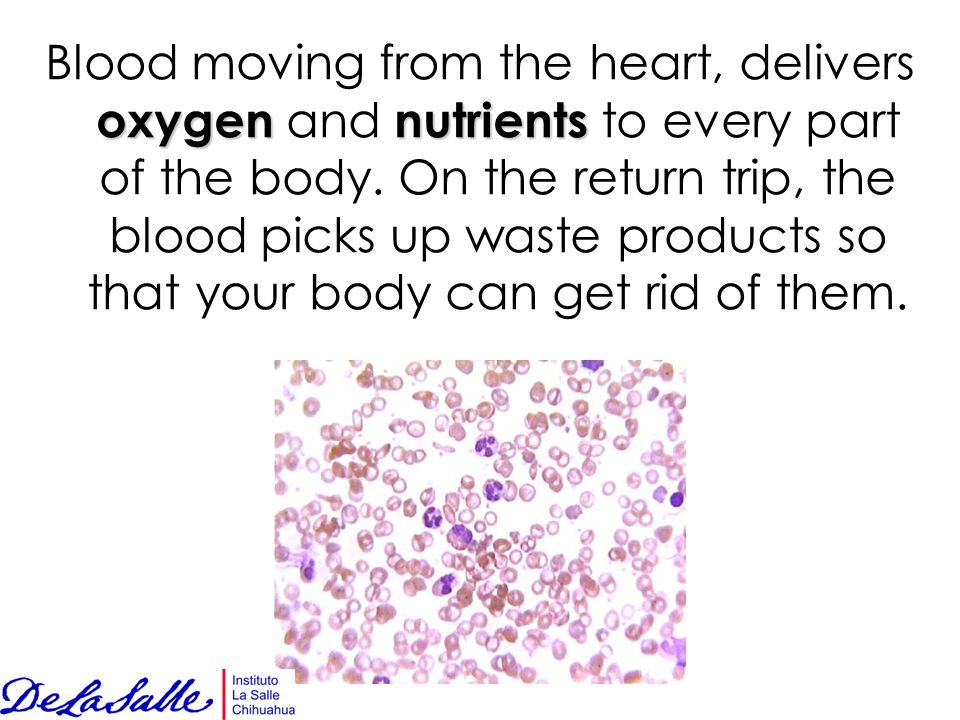 oxygennutrients Blood moving from the heart, delivers oxygen and nutrients to every part of the body.