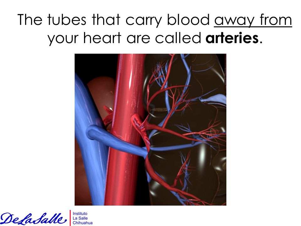 The tubes that carry blood away from your heart are called arteries.
