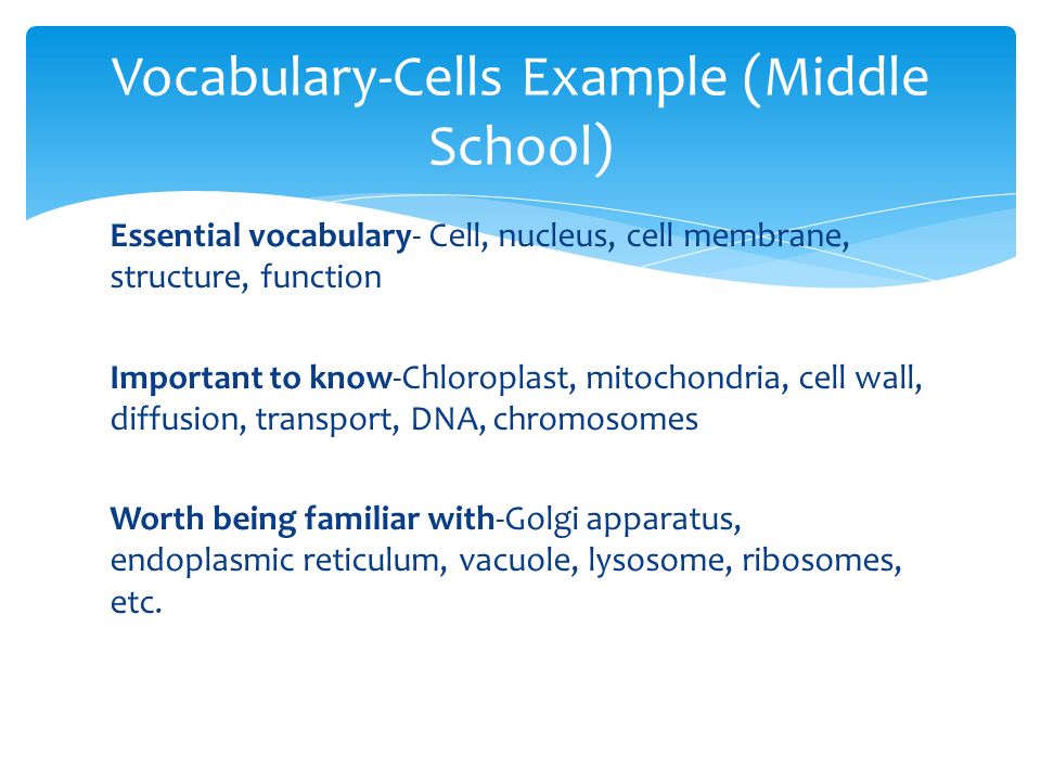 Essential vocabulary- Cell, nucleus, cell membrane, structure, function Important to know-Chloroplast, mitochondria, cell wall, diffusion, transport, DNA, chromosomes Worth being familiar with-Golgi apparatus, endoplasmic reticulum, vacuole, lysosome, ribosomes, etc.
