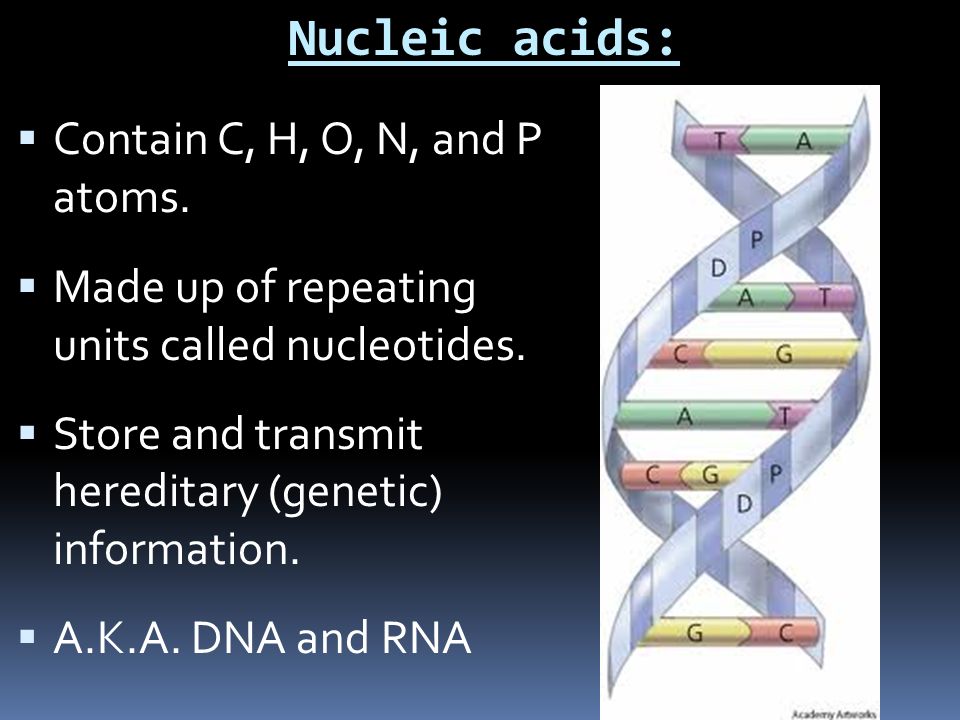 Nucleic acids:  Contain C, H, O, N, and P atoms.  Made up of repeating units called nucleotides.