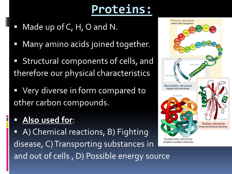 Proteins:  Made up of C, H, O and N.  Many amino acids joined together.