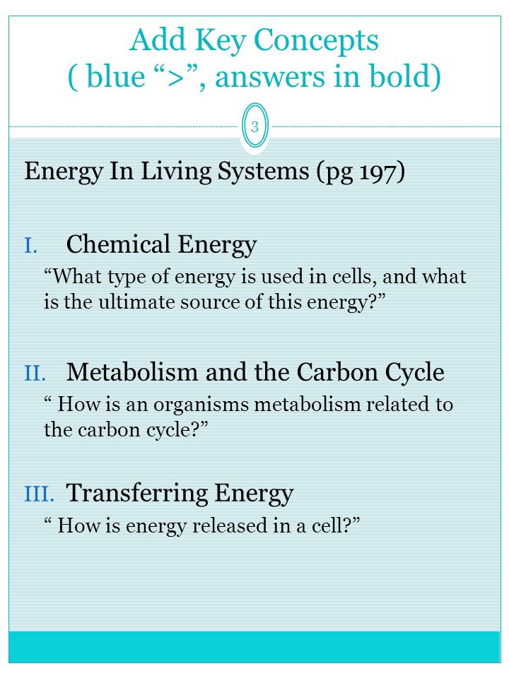 3 Add Key Concepts ( blue > , answers in bold) Energy In Living Systems (pg 197) I.