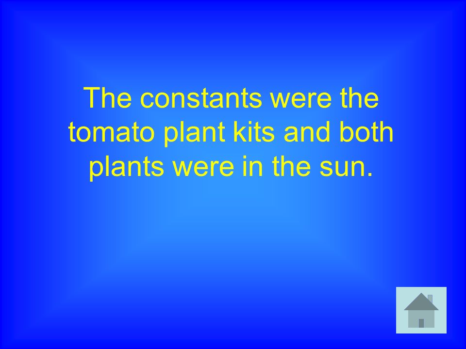 The constants were the tomato plant kits and both plants were in the sun.