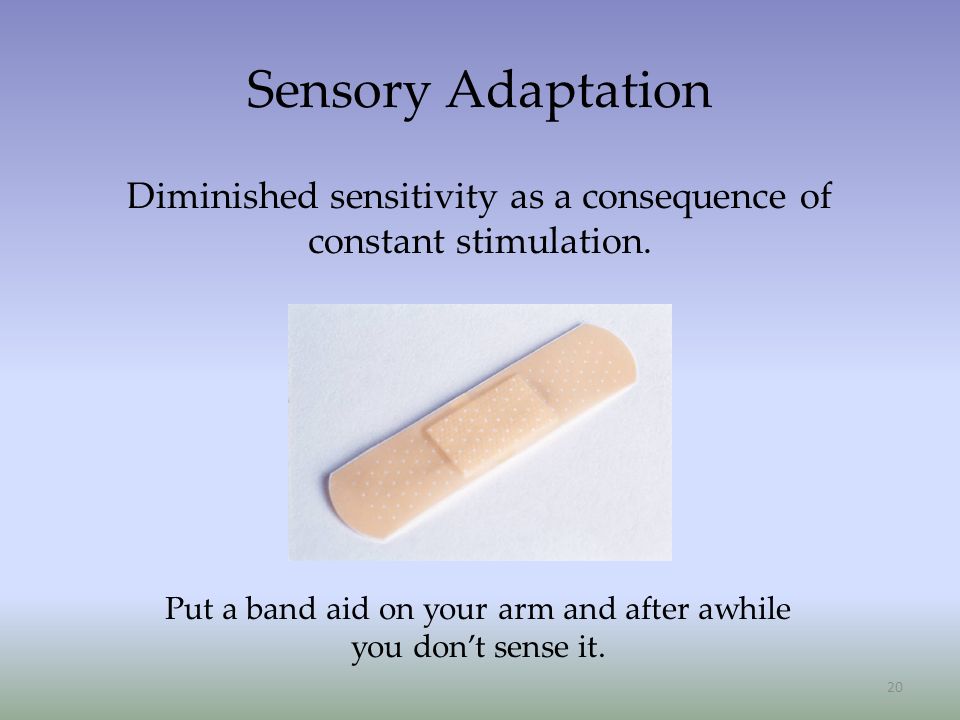 20 Sensory Adaptation Diminished sensitivity as a consequence of constant stimulation.