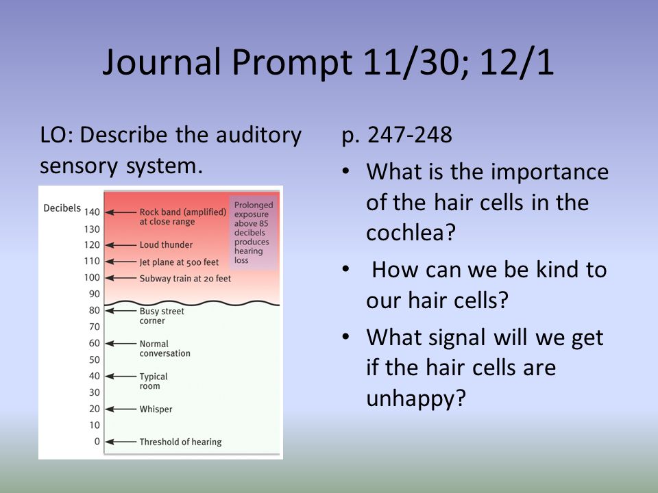 Journal Prompt 11/30; 12/1 LO: Describe the auditory sensory system.