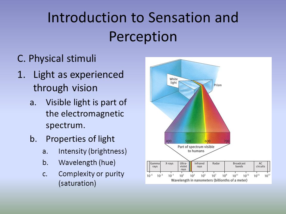 Introduction to Sensation and Perception C.