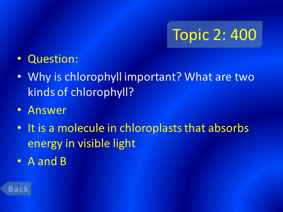 kinds of chlorophyll