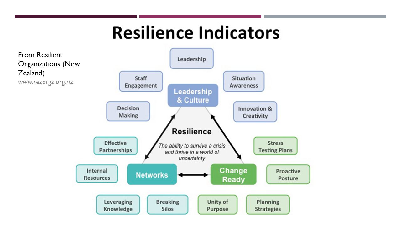 From Resilient Organizations (New Zealand)