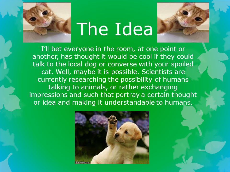 Talking to Animals, the Possibilities of Science By: Ariel Czlapinski. -  ppt download