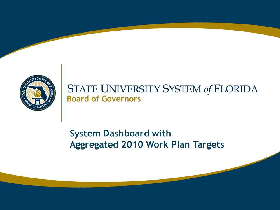 System Dashboard with Aggregated 2010 Work Plan Targets