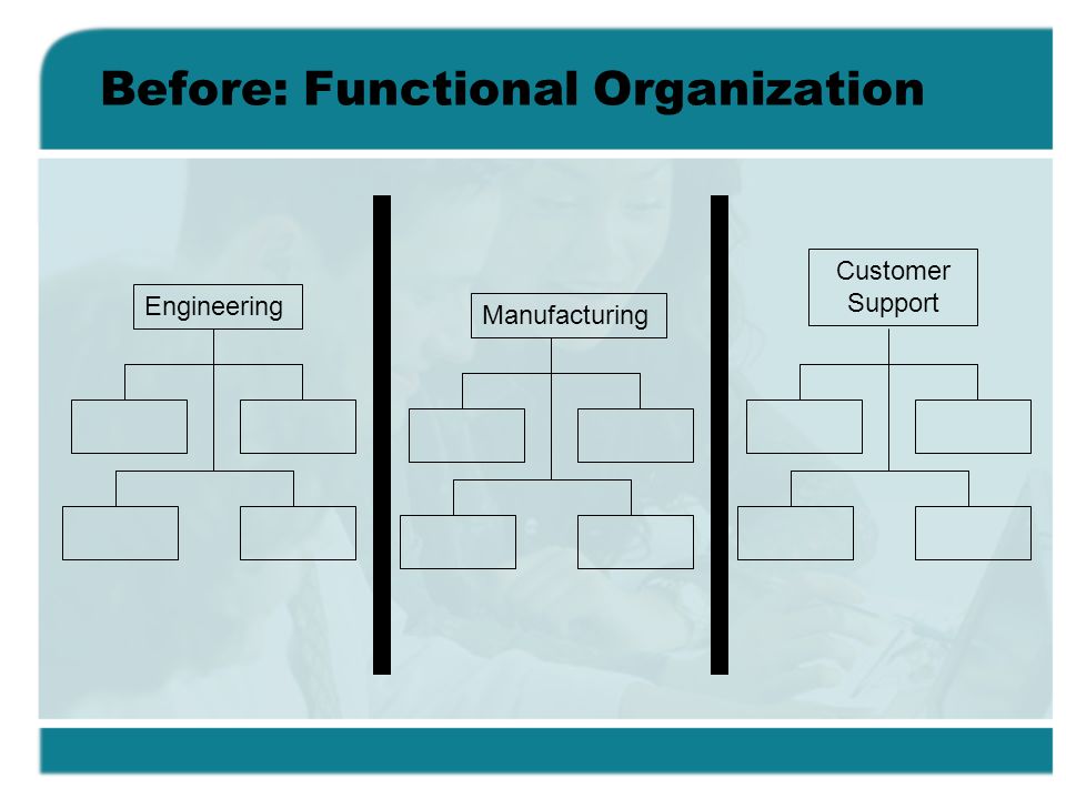 Before: Functional Organization Engineering Manufacturing Customer Support